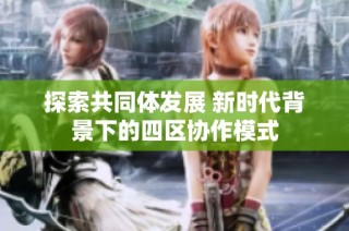 探索共同体发展 新时代背景下的四区协作模式