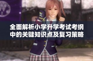 全面解析小学升学考试考纲中的关键知识点及复习策略