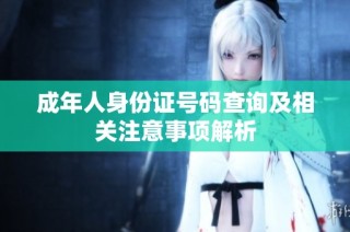 成年人身份证号码查询及相关注意事项解析