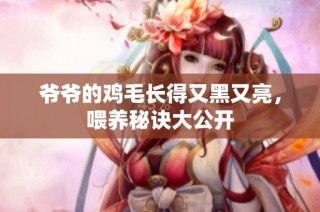 爷爷的鸡毛长得又黑又亮，喂养秘诀大公开