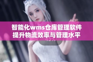 智能化wms仓库管理软件提升物流效率与管理水平