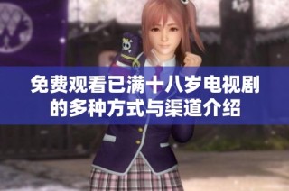 免费观看已满十八岁电视剧的多种方式与渠道介绍