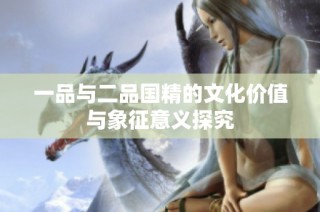 一品与二品国精的文化价值与象征意义探究