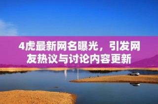 4虎最新网名曝光，引发网友热议与讨论内容更新