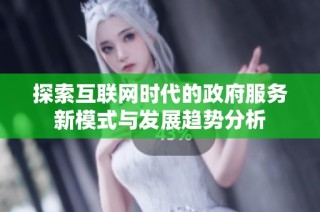 探索互联网时代的政府服务新模式与发展趋势分析