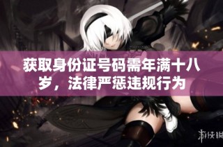 获取身份证号码需年满十八岁，法律严惩违规行为