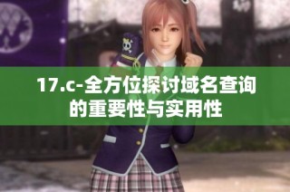 17.c-全方位探讨域名查询的重要性与实用性