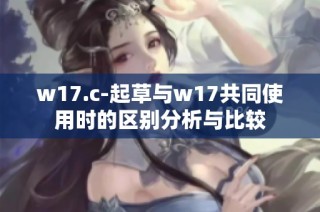 w17.c-起草与w17共同使用时的区别分析与比较
