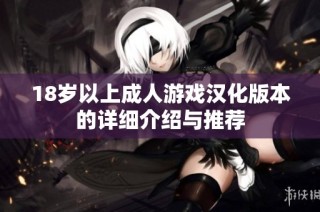 18岁以上成人游戏汉化版本的详细介绍与推荐