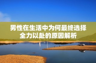 男性在生活中为何最终选择全力以赴的原因解析