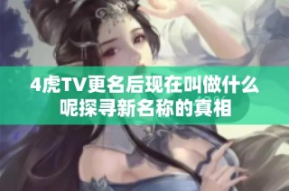 4虎TV更名后现在叫做什么呢探寻新名称的真相