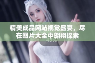 精美成品网站视觉盛宴，尽在图片大全中翱翔探索