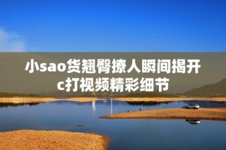 小sao货翘臀撩人瞬间揭开c打视频精彩细节