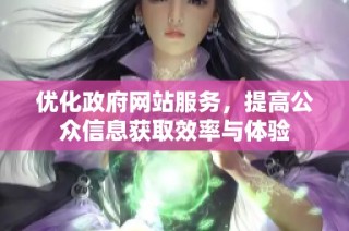 优化政府网站服务，提高公众信息获取效率与体验