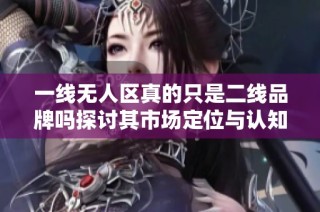 一线无人区真的只是二线品牌吗探讨其市场定位与认知差异