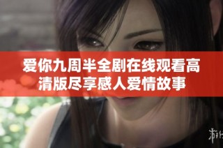 爱你九周半全剧在线观看高清版尽享感人爱情故事