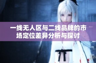 一线无人区与二线品牌的市场定位差异分析与探讨