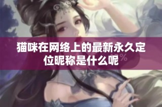 猫咪在网络上的最新永久定位昵称是什么呢