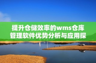 提升仓储效率的wms仓库管理软件优势分析与应用探讨