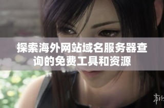 探索海外网站域名服务器查询的免费工具和资源