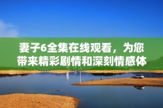 妻子6全集在线观看，为您带来精彩剧情和深刻情感体验