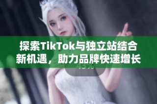 探索TikTok与独立站结合新机遇，助力品牌快速增长与传播