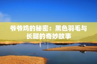 爷爷鸡的秘密：黑色羽毛与长腿的奇妙故事