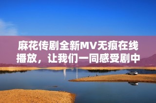 麻花传剧全新MV无痕在线播放，让我们一同感受剧中精彩瞬间