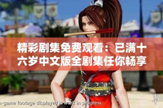 精彩剧集免费观看：已满十六岁中文版全剧集任你畅享
