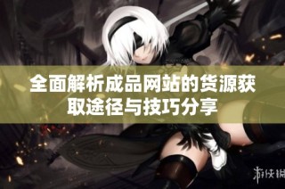 全面解析成品网站的货源获取途径与技巧分享