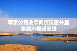 苹果公司洗手间惊现意外趣事原声视频剪辑