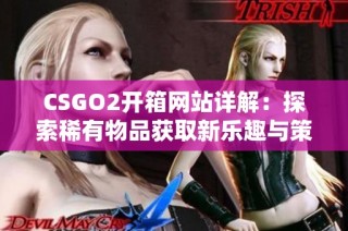 CSGO2开箱网站详解：探索稀有物品获取新乐趣与策略