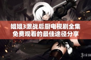 姐姐3激战后厨电视剧全集免费观看的最佳途径分享