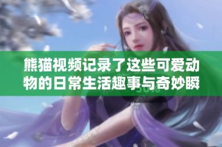 熊猫视频记录了这些可爱动物的日常生活趣事与奇妙瞬间