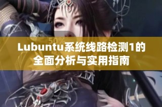 Lubuntu系统线路检测1的全面分析与实用指南