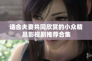 适合夫妻共同欣赏的小众精品影视剧推荐合集