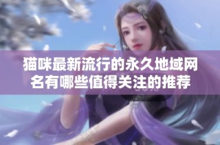 猫咪最新流行的永久地域网名有哪些值得关注的推荐