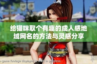 给猫咪取个有趣的成人感地域网名的方法与灵感分享
