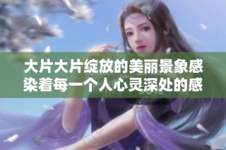 大片大片绽放的美丽景象感染着每一个人心灵深处的感动