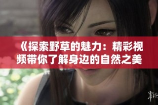 《探索野草的魅力：精彩视频带你了解身边的自然之美》