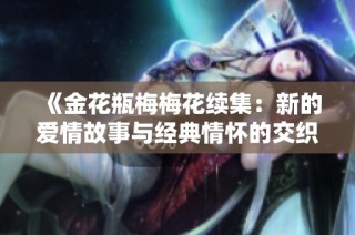 《金花瓶梅梅花续集：新的爱情故事与经典情怀的交织》