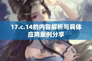 17.c.14的内容解析与具体应用案例分享