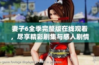 妻子6全季完整版在线观看，尽享精彩剧集与感人剧情体验