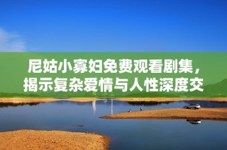 尼姑小寡妇免费观看剧集，揭示复杂爱情与人性深度交织的故事