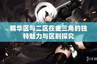 精华区与二区在金三角的独特魅力与区别探究