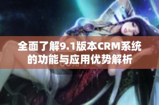 全面了解9.1版本CRM系统的功能与应用优势解析