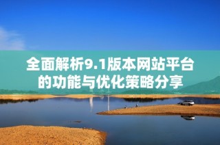 全面解析9.1版本网站平台的功能与优化策略分享