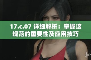 17.c.07 详细解析：掌握该规范的重要性及应用技巧