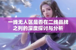 一线无人区是否在二线品牌之列的深度探讨与分析