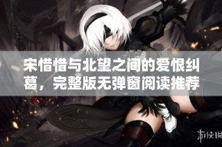 宋惜惜与北望之间的爱恨纠葛，完整版无弹窗阅读推荐